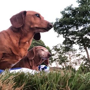 Meet your Posher, Leeann